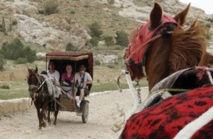 ​Derrière la carte postale, la souffrance des chevaux de Pétra