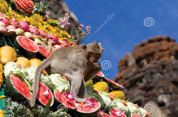 Les festivals à voir une fois dans sa vie : Le buffet des singes (Thaïlande)