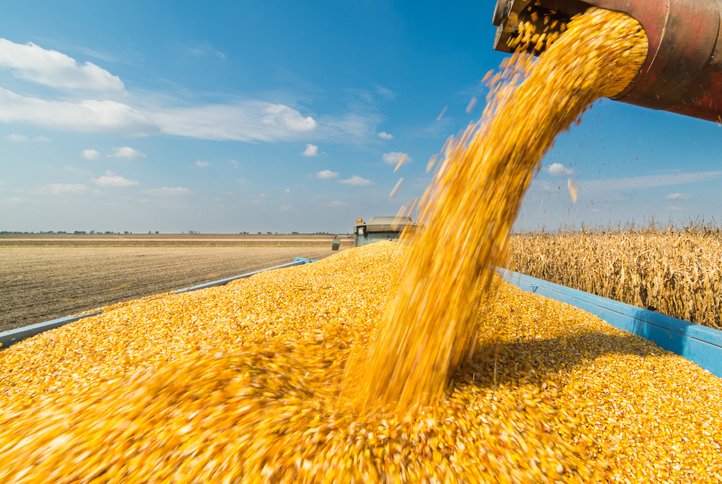 ONICL : Mise en place d'un mécanisme de soutien à la constitution d'un stock de blé tendre