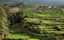 ​Les rizières en terrasses des Philippines face aux périls de la modernité