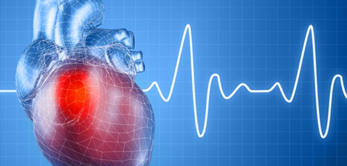 Laâyoune: Atelier sur la rythmologie cardiaque au profit d'une trentaine de médecins