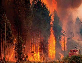 Incendies de forêt. L'ANEF entame la publication quotidienne de cartes précises des zones à risque