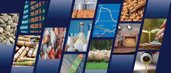 La FAO prévoit une stabilisation de la plupart des marchés des produits alimentaires en 2024-2025