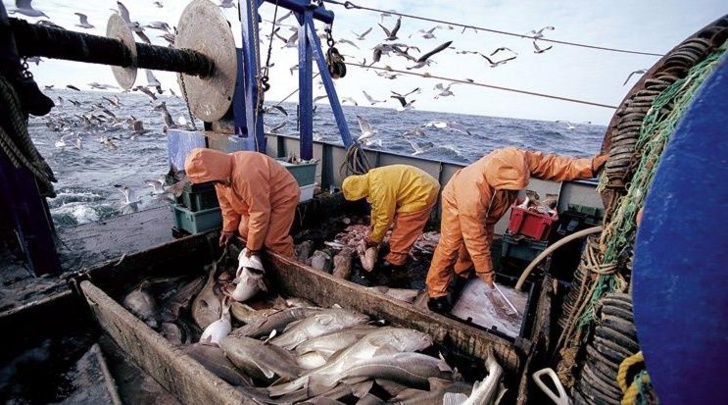 Port de Sidi Ifni : Hausse de 23% des débarquements de la pêche à fin mai