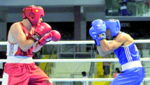 Mission accomplie pour les pugilistes marocains