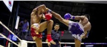 Trois médailles pour le Maroc à la Coupe du monde de muay-thai