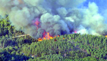 Extinction de deux incendies de forêt dans la préfecture de M'diq-Fnideq