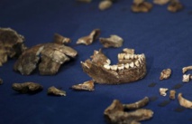 Découverte en Afrique du Sud de l’Homo naledi