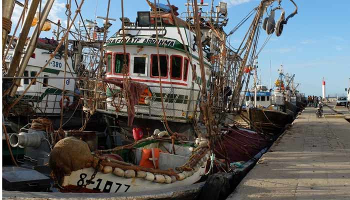 Port de Boujdour: Hausse de 4% des débarquements de pêche à fin août 2024