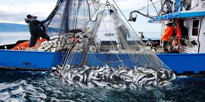 Port de Safi : Baisse de 15% des débarquements de la pêche à fin août 2024