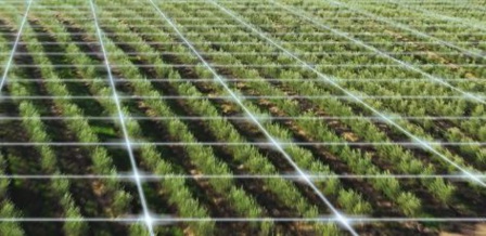 Conférence internationale à Marrakech sur l'innovation dans le domaine de l'eau et l’irrigation intelligente