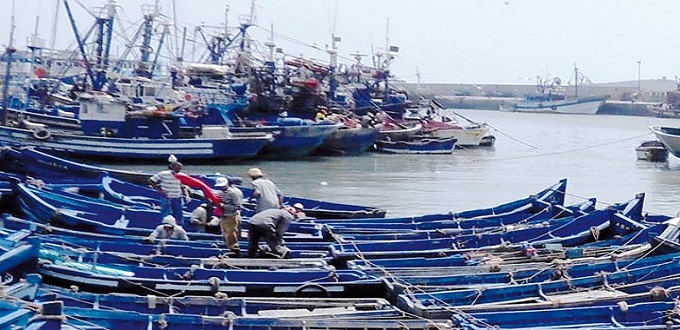 Port de Tan-Tan: Chute de 41% des débarquements de poissons à fin septembre