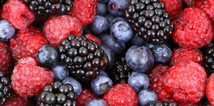 Les professionnels des fruits rouges en conclave à Agadir