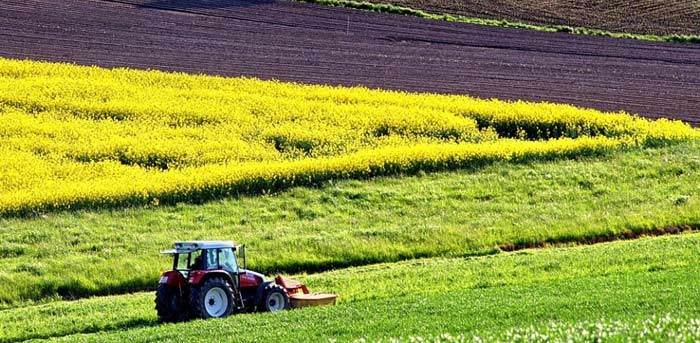 Sommet du G20 : Le Maroc rejoint l'Initiative mondiale pour l’intégrité de l’information sur le changement climatique