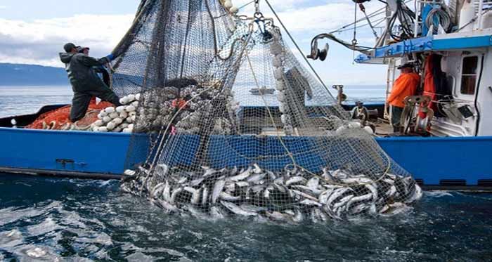 Industrie de la pêche : Un CA à l’export avoisinant 31 MMDH en 2023