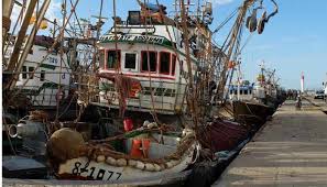 Port de Boujdour: Hausse de 5% des débarquements de pêche