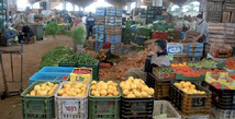 Marché de gros des fruits et légumes de Casablanca : Résultats record de 1,6 million de tonnes de marchandises et 177 MDH de recettes en 2024