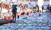 Port de Sidi Ifni : Les débarquements de la pêche côtière et artisanale augmentent de 3% en 2024