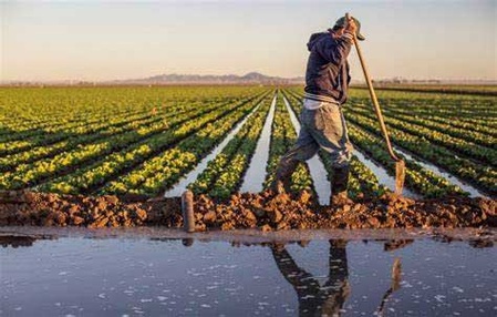 Effets bénéfiques des récentes pluies sur l'agriculture et les ressources hydriques dans la région de Souss-Massa