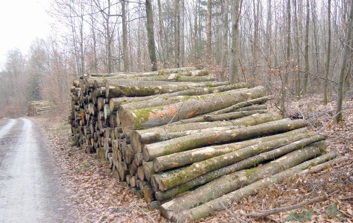 Série de mesures pour réduire la pression sur le bois de chauffage dans le Haut Atlas