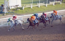 La SOREC insensible aux risques encourus par les jockeys