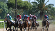 ​GP Mohammed V  des courses hippiques