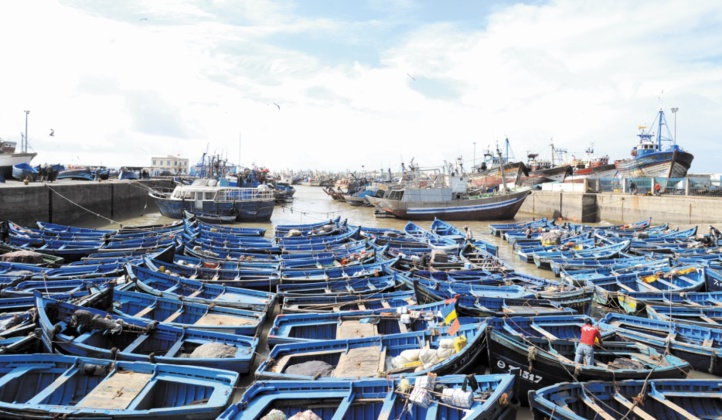 Malal évoque l’impact écologique de l’extension du port d’Essaouira