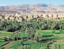 Les oasis marocaines face  aux changements climatiques