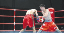 Les gants dopés de la boxe marocaine