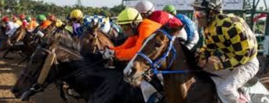 Casablanca à l’heure du "Meeting international du Maroc " des courses hippiques