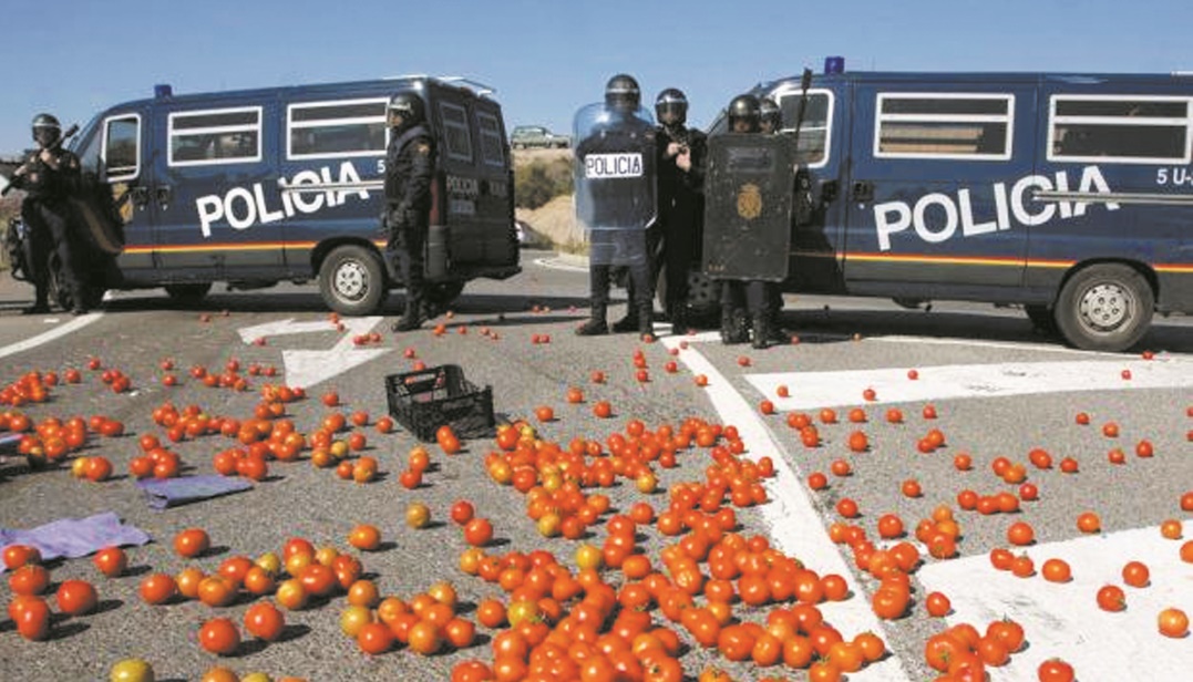 Les produits agricoles marocains de nouveau dans le collimateur de groupements espagnols en mal d’idées