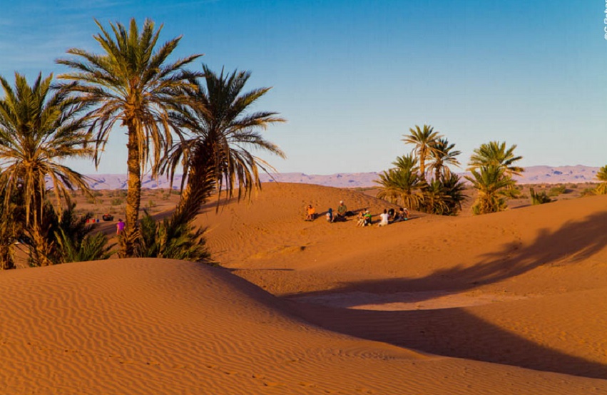 Desert marocain. Оазис Эль-Голеа. Эль Голеа Алжир. Oasis marocain. Small Desert.