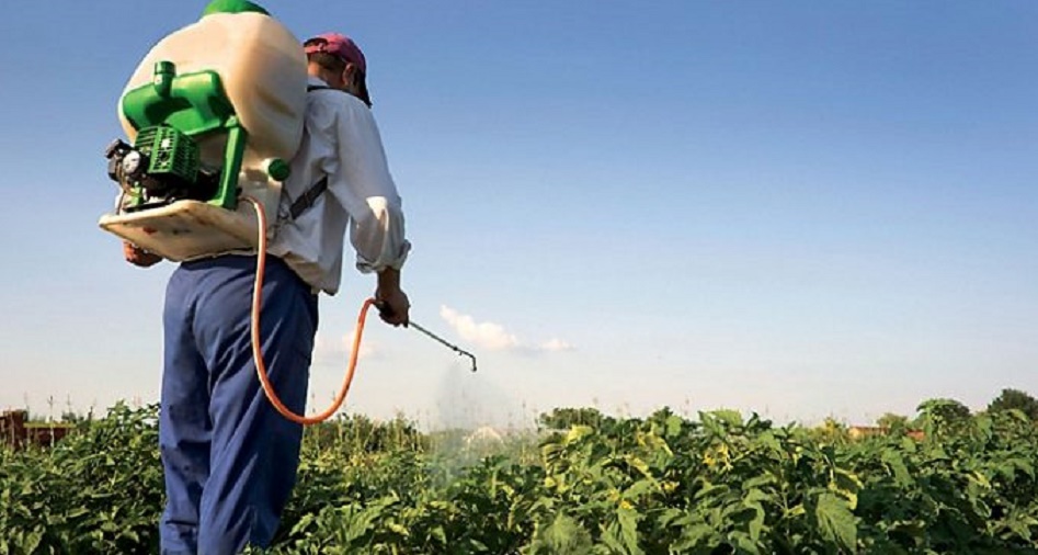 Les pesticides, un danger fatal