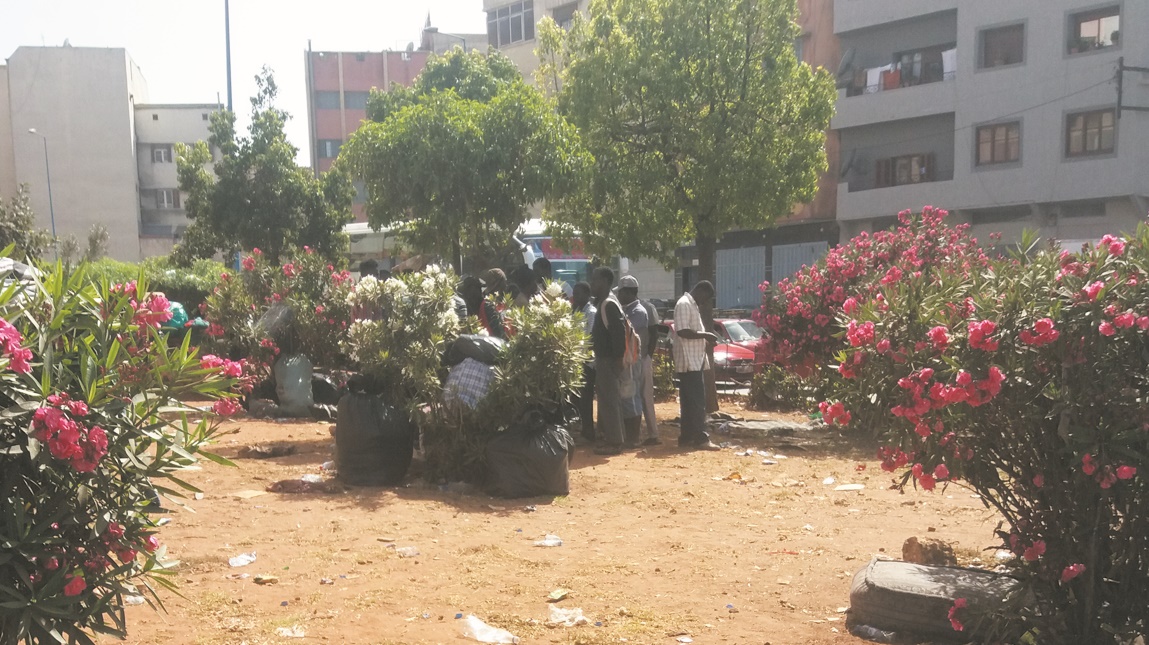 Expulsés de Nador et largués près de la gare routière de Casablanca