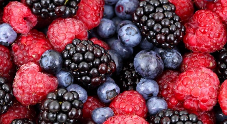 Naissance à Larache de la Fédération interprofessionnelle marocaine des fruits rouges