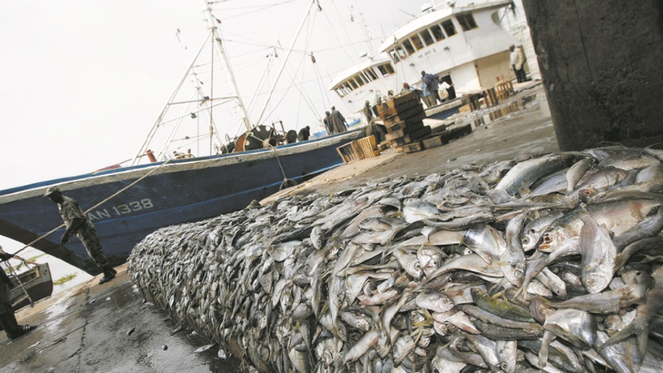 Un premier round conclu dans l’accord de pêche Maroc-UE :  Il n’y a ni rupture  ni suspension.  Le reste devra suivre