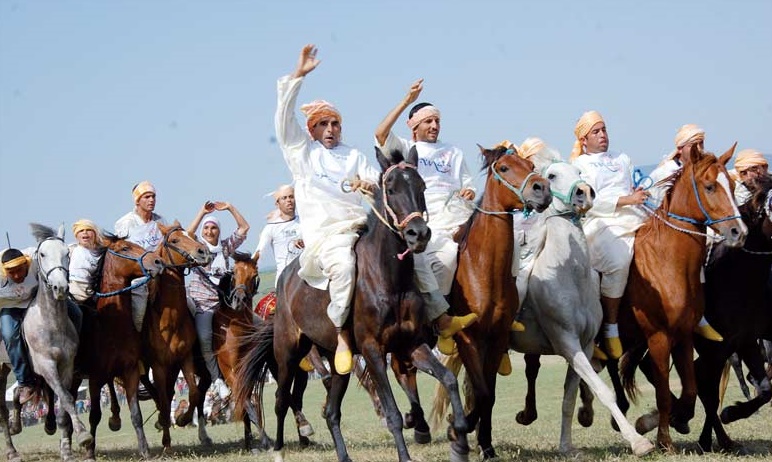 Les cavaliers des Jbalas à l'heure du Festival international “Mata”