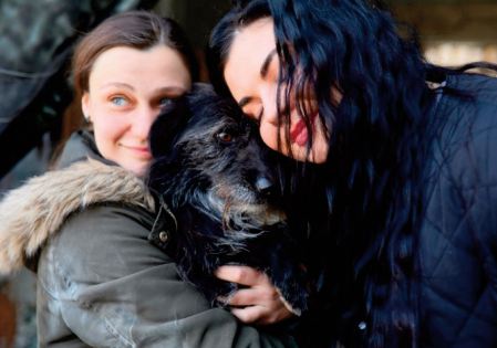 En Ukraine, les animaux prennent aussi les routes de l'exode