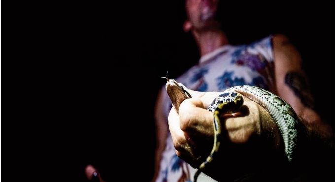En Floride, la chasse aux pythons birmans pour aider l’écosystème mais aussi la santé mentale