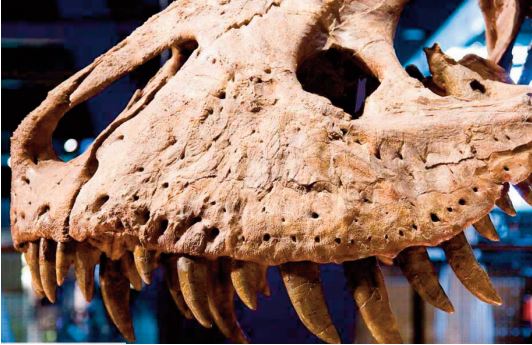 Les dents acérées desT-Rex étaient recouvertes par des lèvres