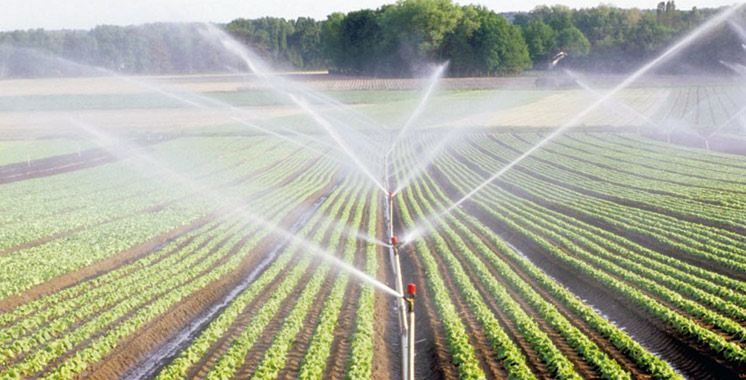 Campagne agricole : Le volume de pluviométrie atteint 77 mm, en baisse de 44%