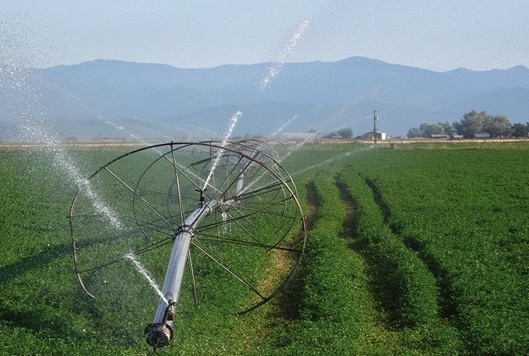 Pour l’amélioration des services d'irrigation au profit des agriculteurs marocains