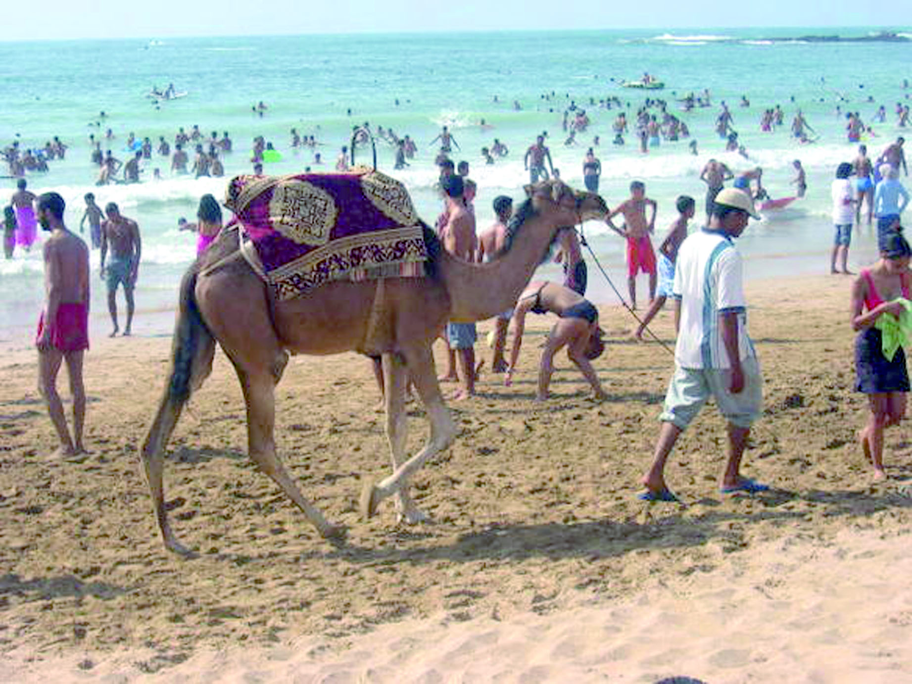 Une fois de plus les plages de Mohammedia ratent le coche