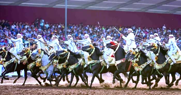 Une illustration de l’intérêt porté aux traditions équestres, élément essentiel de l’identité culturelle du Royaume