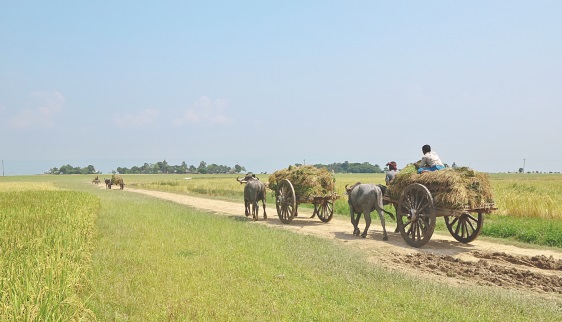 Au Bangladesh, la banque sur mobile donne un coup de pouce aux plus pauvres