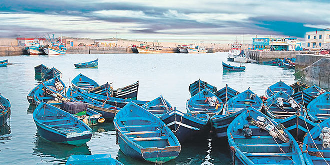 Port d’Essaouira : Hausse de 111% des débarquements de pêche à fin juillet