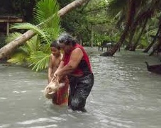 Le courant El Nino persistera jusqu’en 2016