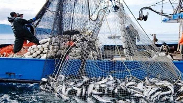 Port de Laâyoune: Baisse de 37% des débarquements de la pêche à fin août