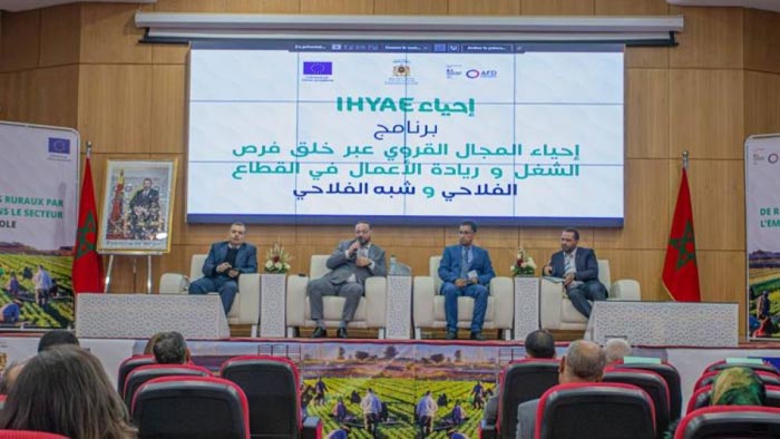 Programme IHYAE: 40 MDH pour soutenir le développement agricole durable à Fès-Meknès en 2025