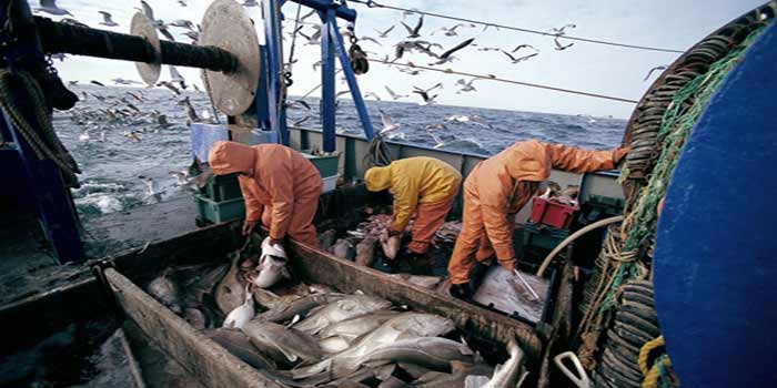 Ports situés sur la Méditerranée : Baisse de 13% des débarquements de pêche à fin septembre